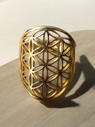 BAGUE FLEUR DE VIE - ACIER INOXYDABLE ARGENTE